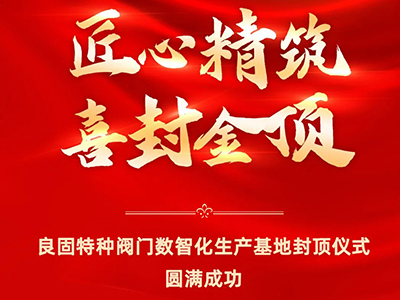 封顶大吉｜热烈庆祝亿万先生mr特种阀门数智化生产基地喜封金顶